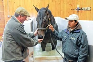 Bruce Jackson, left, works with Orb in the cold water spa.