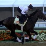Bug riders flying high at Laurel Park