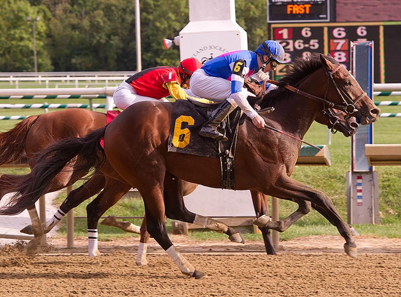 Emotional Stroll gives closes to give Graham Motion third win in four days at Laurel