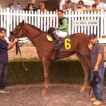Midlantic horses account for big share of Fasig-Tipton sale