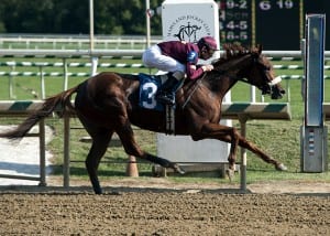 Sheer Drama en route to the Laurel track record at about 1 1/16 miles.  Photo by Jerry Dzierwinski, Maryland Jockey Club.