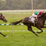 Immortal Eyes sees third trip to De Francis Dash come up to his liking