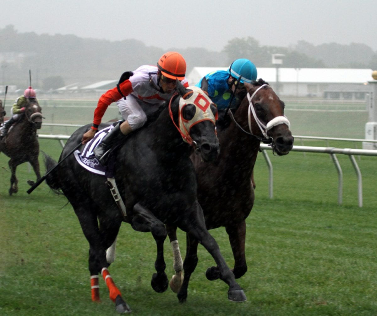 Gallery: Ben’s Cat wins the Laurel Dash