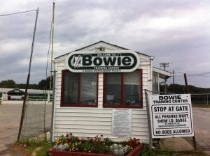 bowieentrance