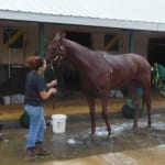 Racing returns to Laurel Park with a new track record