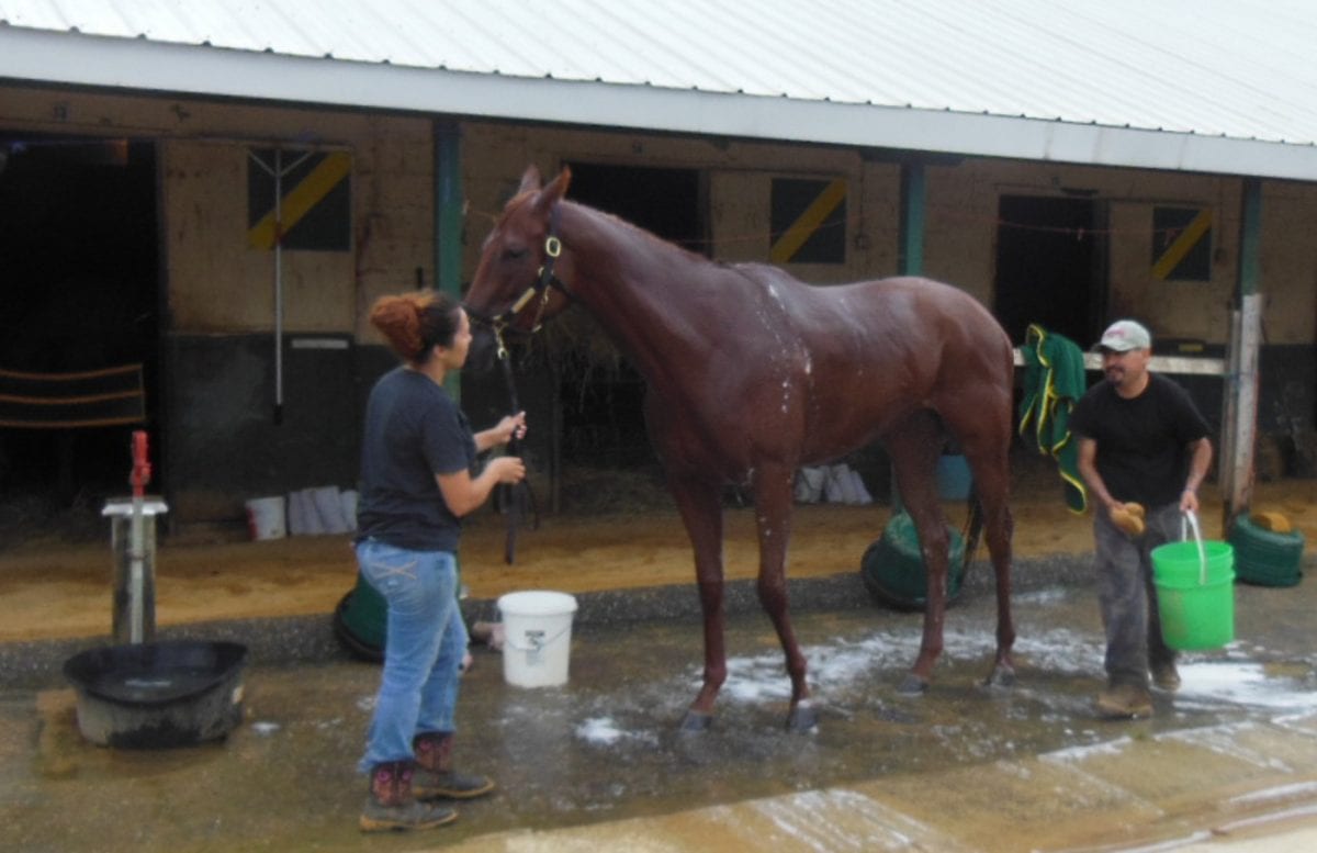 Xavier Perez, saving room for another “big horse”