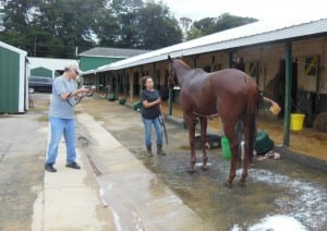 Dance to Bristol -- here getting a bath while Jeff Krulik looks on -- is a long, leggy sort.