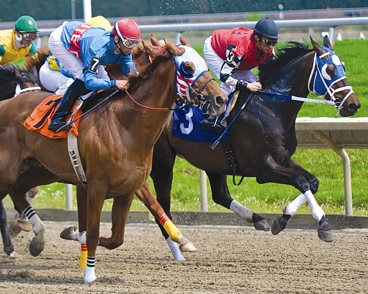 Stormin Monarcho sets Delaware Park mile record