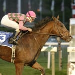 Claimbox report: Horses changing hands, September 4-10