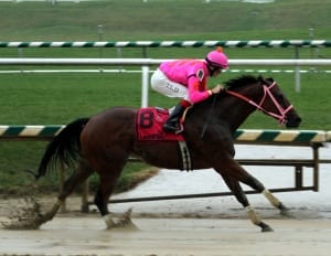 Immortal Eyes splashed home to an eye-catching win in the DeFrancis Dash.  Photo by Laurie Asseo.