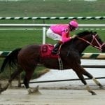 Claimbox: Ness takes top spot in Midlantic Claiming 7