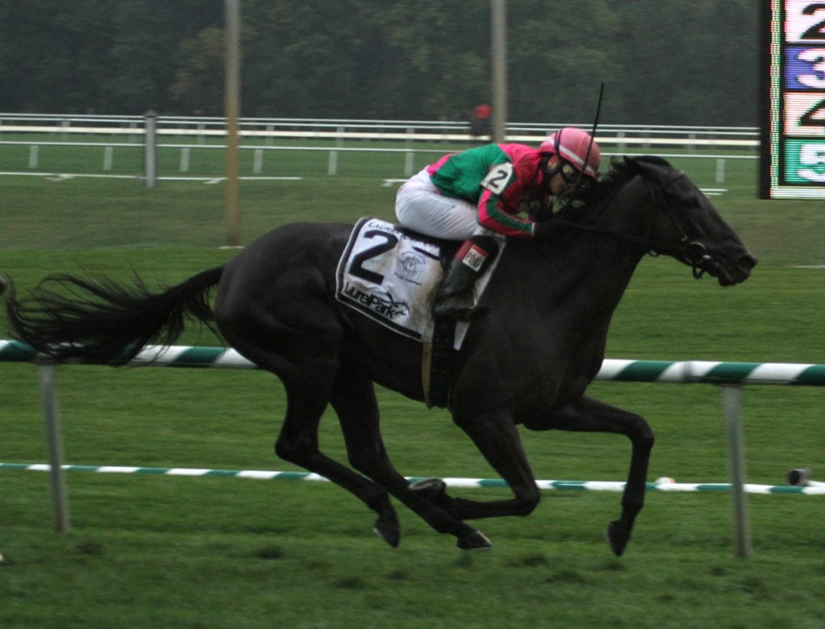 De Francis Dash and Charles Town Oaks day in pictures