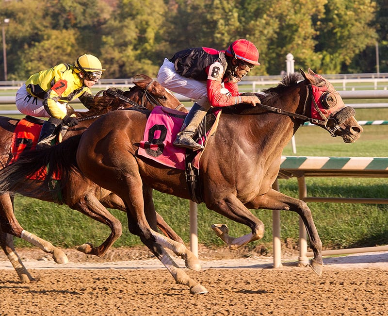 Laurel Park feature winner rallies for 67-1 upset