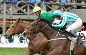 The Gold Cup is betting that fans will find finishes like this even more exciting if they have wagered on it.  Photo by Virginia Thoroughbred Association.