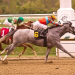 Now and Zen: Handicapping Delaware’s closing day