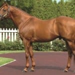 Laurel Park to guarantee $100,000 Pick 5 pool