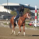 Maryland-bred mare Urbane passes away
