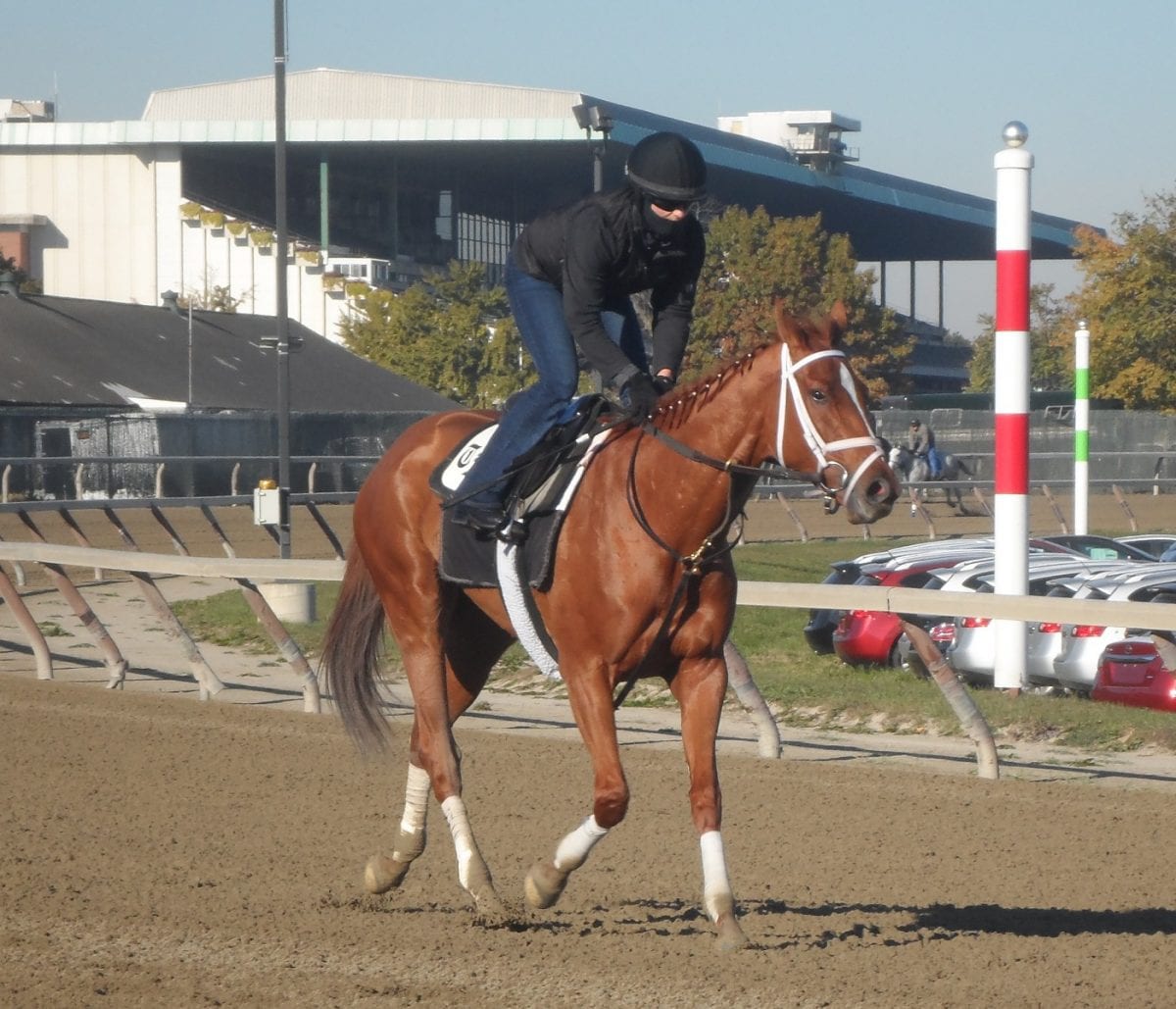 One exercise rider, with two big chances in the Breeders’ Cup