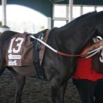 For one West Virginia Breeders Classics bettor, a lesson in why it’s called gambling