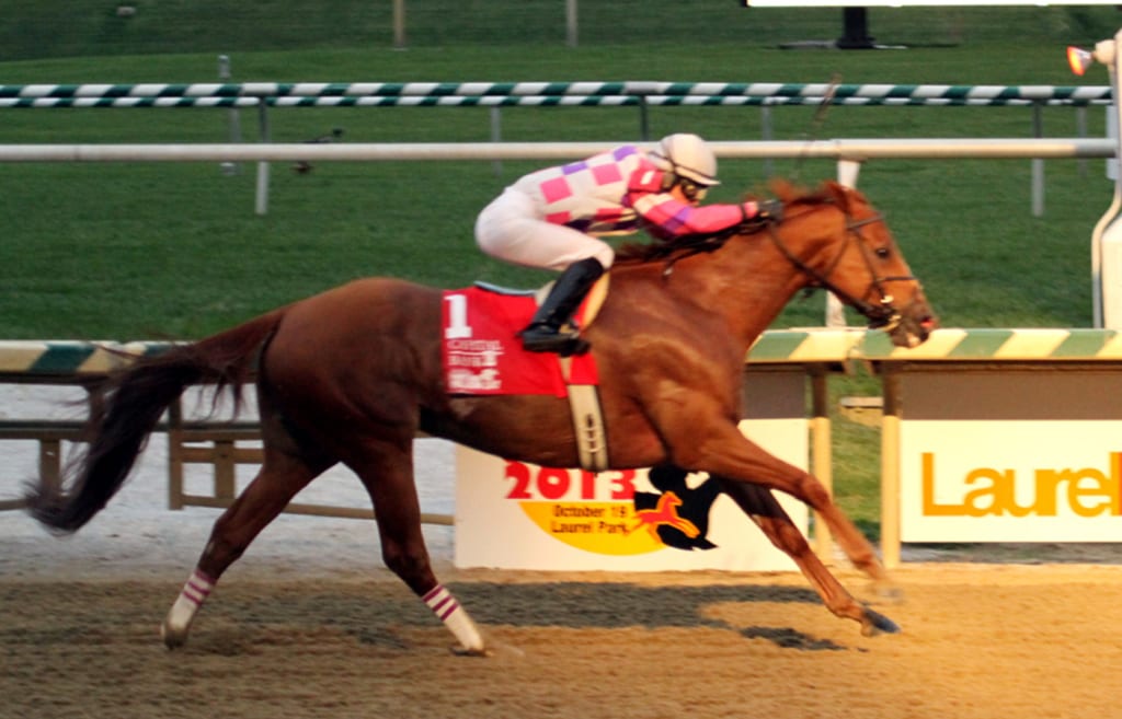 Eighttofasttocatch wins the 2013 Maryland Million Classic. Photo by Laurie Asseo.