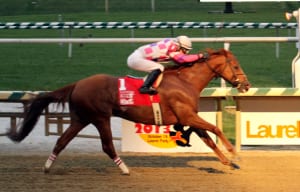 Eighttofasttocatch wins the 2013 Maryland Million Classic. Photo by Laurie Asseo.