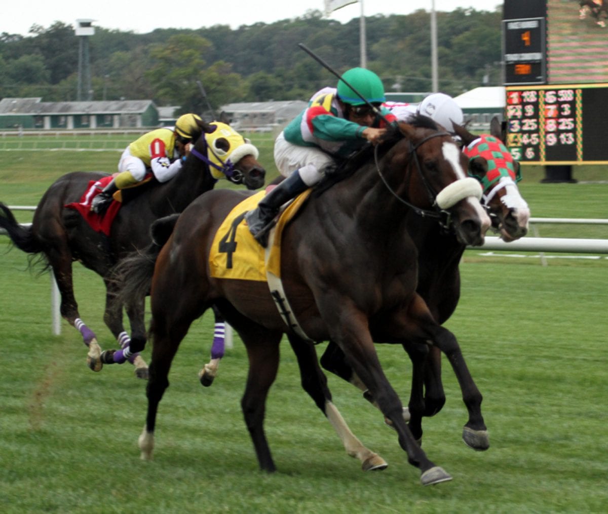 Take part in our Maryland Million Charity “Play for Jose” Handicapping Tournament