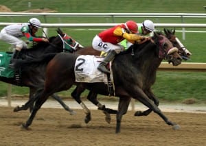 Maddy's Dance is along in time in the Distaff. Photo by Laurie Asseo.