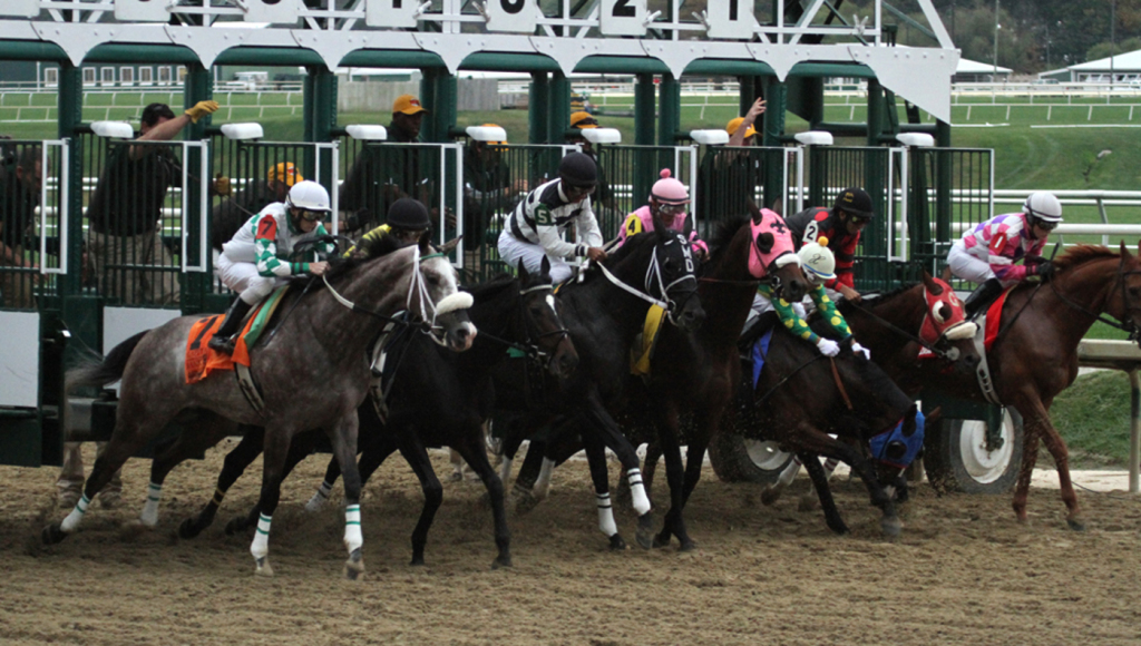 The break from the gate can be crucial in a race. Note the 3-horse stumbling here. Photo by Laurie Asseo.