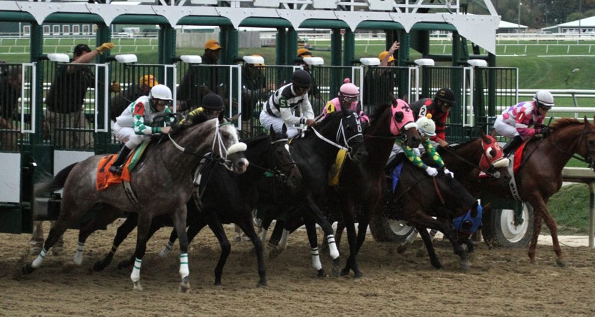 Maryland Racing Commission adopts multiple medication violation points