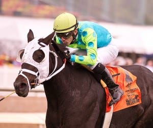 Monster Sleeping in the 2013 Maryland Million Ladies. Photo by Jeff Snyder, Maryland Jockey Club.