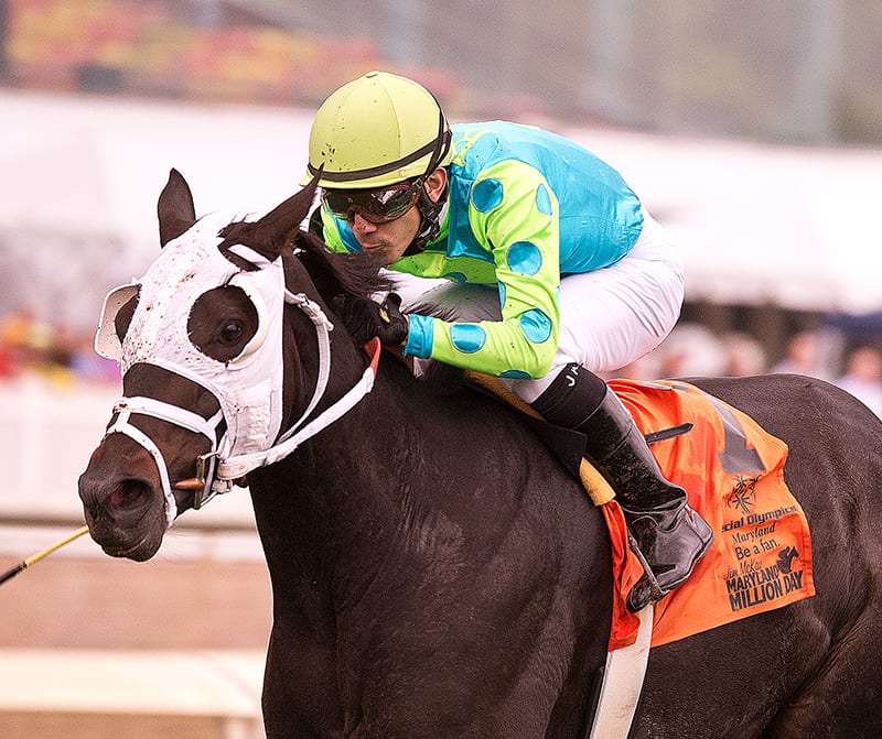 Monster Sleeping scores rousing Maryland Million Ladies victory