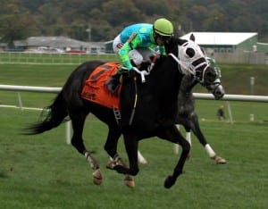 Monster Sleeping wins the 2013 Maryland Million Ladies. Photo by Laurie Asseo.