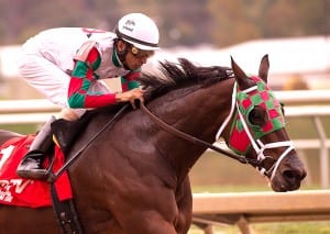 Ribo Bobo wins the 2013 Maryland Million Sprint. Photo by Jim McCue, Maryland Jockey Club.