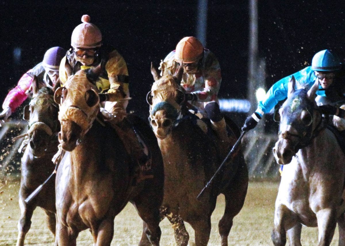 State-breds spotlighted on West Virginia Breeders’ Classic night