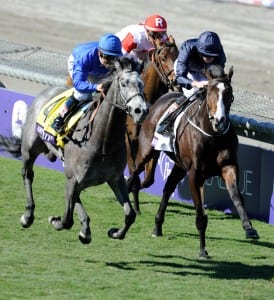 Giovanni Boldini, inside with white blaze, slugs it out with Outstrip in the Breeders' Cup Juvenile Turf. Photo by Gary Mook, Breeders' Cup Ltd.