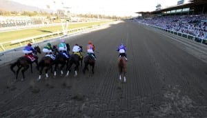 Foreshadowing: Princess of Sylmar breaks outward and behind the field in the first jumps of the Breeders' Cup Distaff.  Photo by Breeders' Cup Ltd.