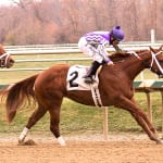 Dance to Bristol heads to retirement in style