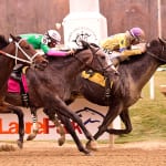 Service for Ten rallies to take speedy Dave’s Friend Stakes