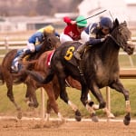 Graham Motion gunning for seventh Dick Memorial win