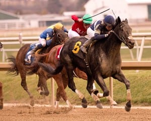 Service for Ten wins the Dave's Friend.  Photo by Jim McCue, Maryland Jockey Club.