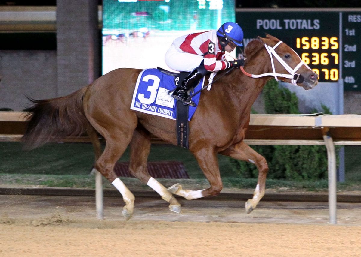 Sharp eye paying dividends for Javier Contreras