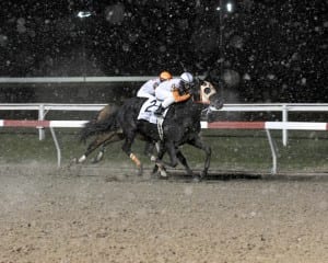 Ben's Cat inches clear of Ribo Bobo to win the Fabulous Strike at Penn National.  Photo by B & D Photography.