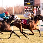House subcommittee to dig into horse racing medication rules tomorrow