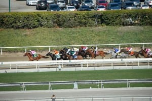 They're off in the Filly and Mare Sprint.  Dance to Bristol (#8) is mid-flight.  Photo by Breeders' Cup Ltd.