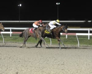 Five Star Momma just holds off She's Ordained to win the Lady In Waiting.  Photo by B & D Photography.