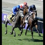 Laurel Park trainer race ends in dead heat