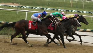 Jessethemarine, inside, rallies past Purse Sensation (between horses) and It's a Bang (#1) to win the James F. Lewis, III Stakes.  Photo by Laurie Asseo.