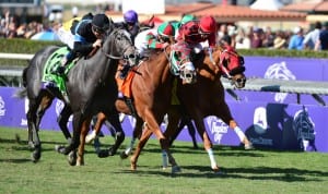 Mizdirection rallies to take the Breeders' Cup Turf Sprint in her final start.  . Photo by © Breeders' Cup Ltd./Gary Bogdon 2013