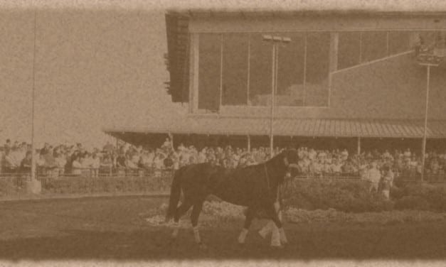 In Pennsylvania case, racing’s rules on trial, too