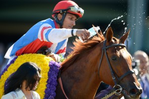 Water for the champ.  Jockey Rajiv Maragh shares his water with Groupie Doll after winning the Filly and Mare Sprint.  Photo Breeders' Cup Ltd.